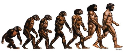 Evrim Teorisi Tanrı’nın Varlığıyla Çelişir Mi?